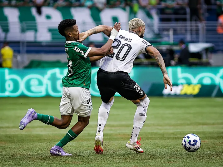 Botafogo perde Alexander Barboza, Anselmi e Allan contra Palmeiras