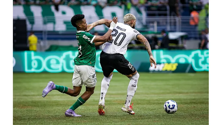 Barboza jogador do Botafogo durante partida contra o Palmeiras no estadio Arena Allianz Parque pelo campeonato Brasileiro A 2025. Foto: Fabio Giannelli/AGIF