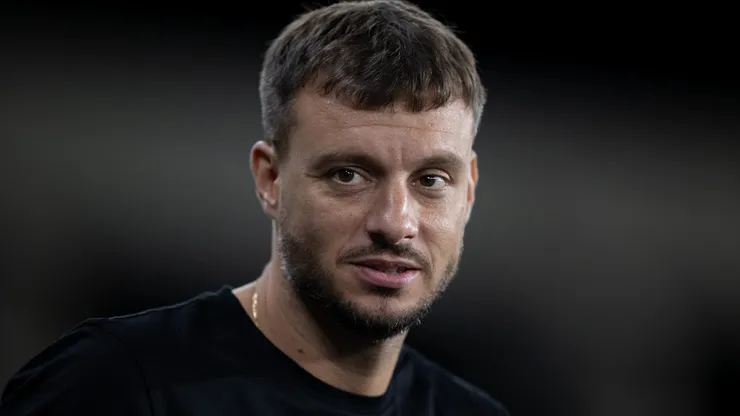 Anselmi, treinador do Botafogo