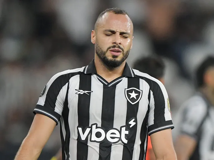 Jornalista elenca problemas do Botafogo na temporada