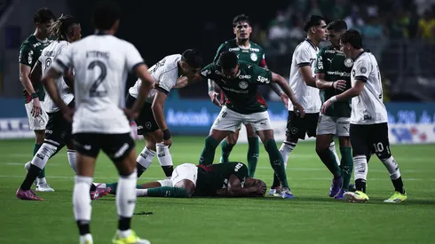 Tumulto entre jogadores do Palmeiras e jogadores do Botafogo durante partida no estadio Arena Allianz Parque pelo campeonato Brasileiro A 2026. Foto: Ettore Chiereguini/AGIF