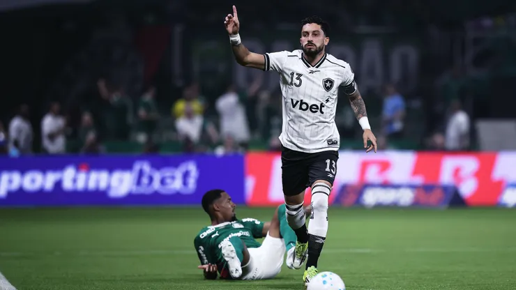 Botafogo perdeu para o Palmeiras no Brasileiro