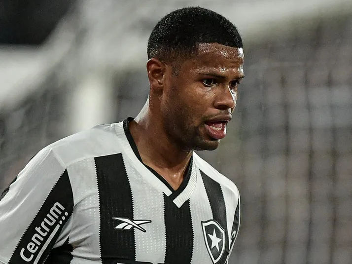 Júnior Santos projeta volta por cima do Botafogo
