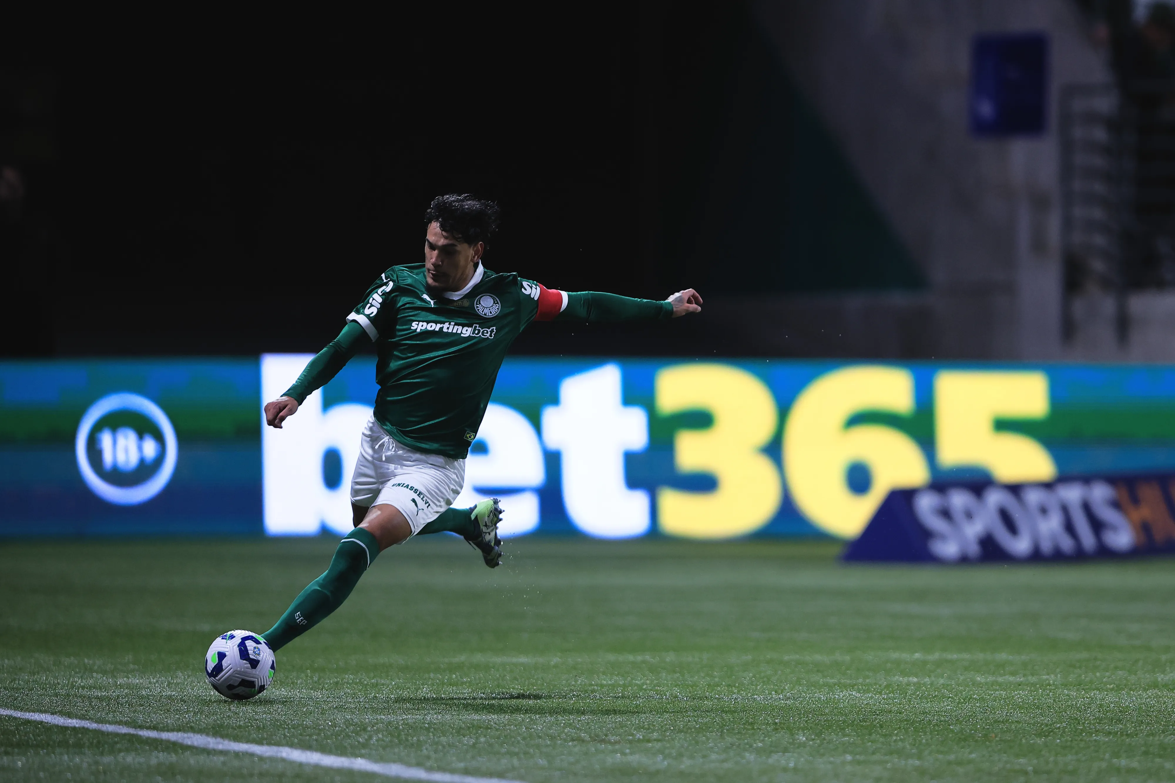 Gustavo Gomez atuando no Palmeiras – Foto: Ettore Chiereguini/AGIF