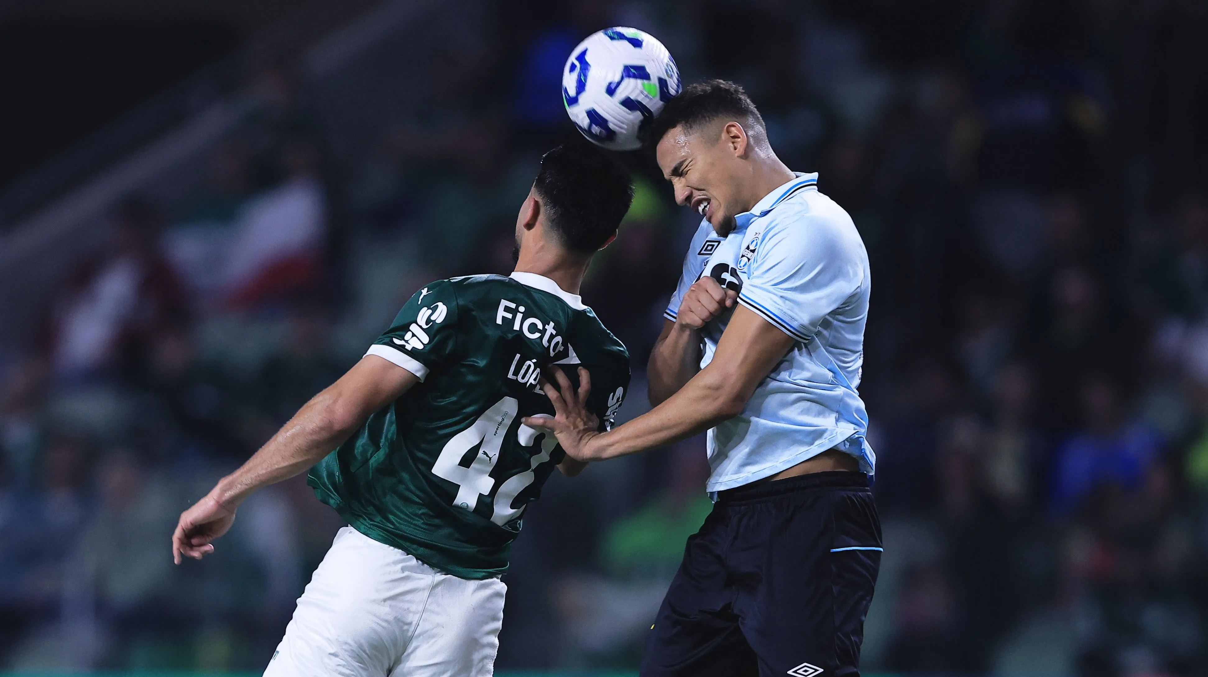 Palmeiras x Grêmio. Foto: Ettore Chiereguini/AGIF
