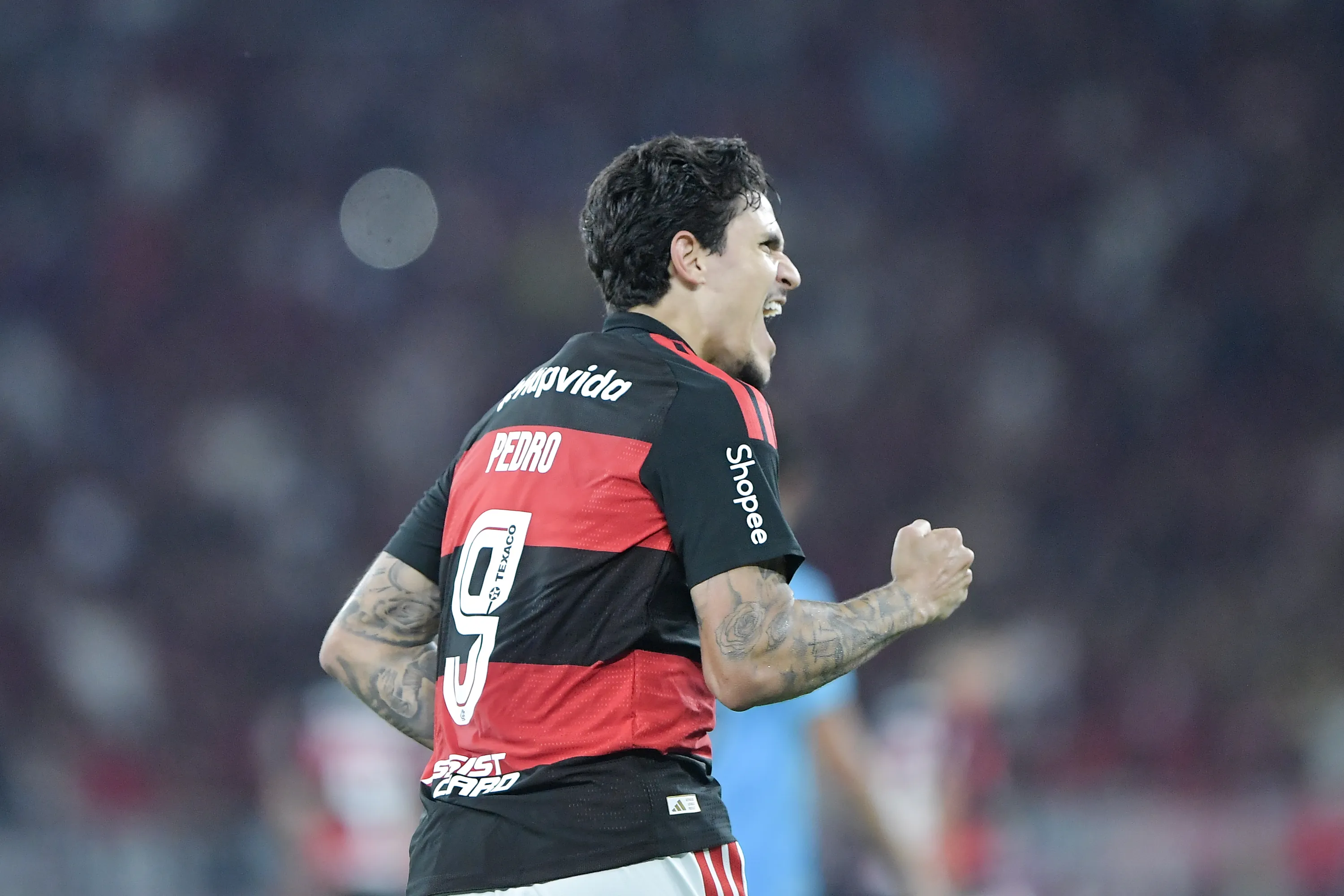 Pedro jogador do Flamengo comemora seu gol durante partida contra o Santos no estadio Maracana pelo campeonato Brasileiro A 2026. Foto: Thiago Ribeiro/AGIF