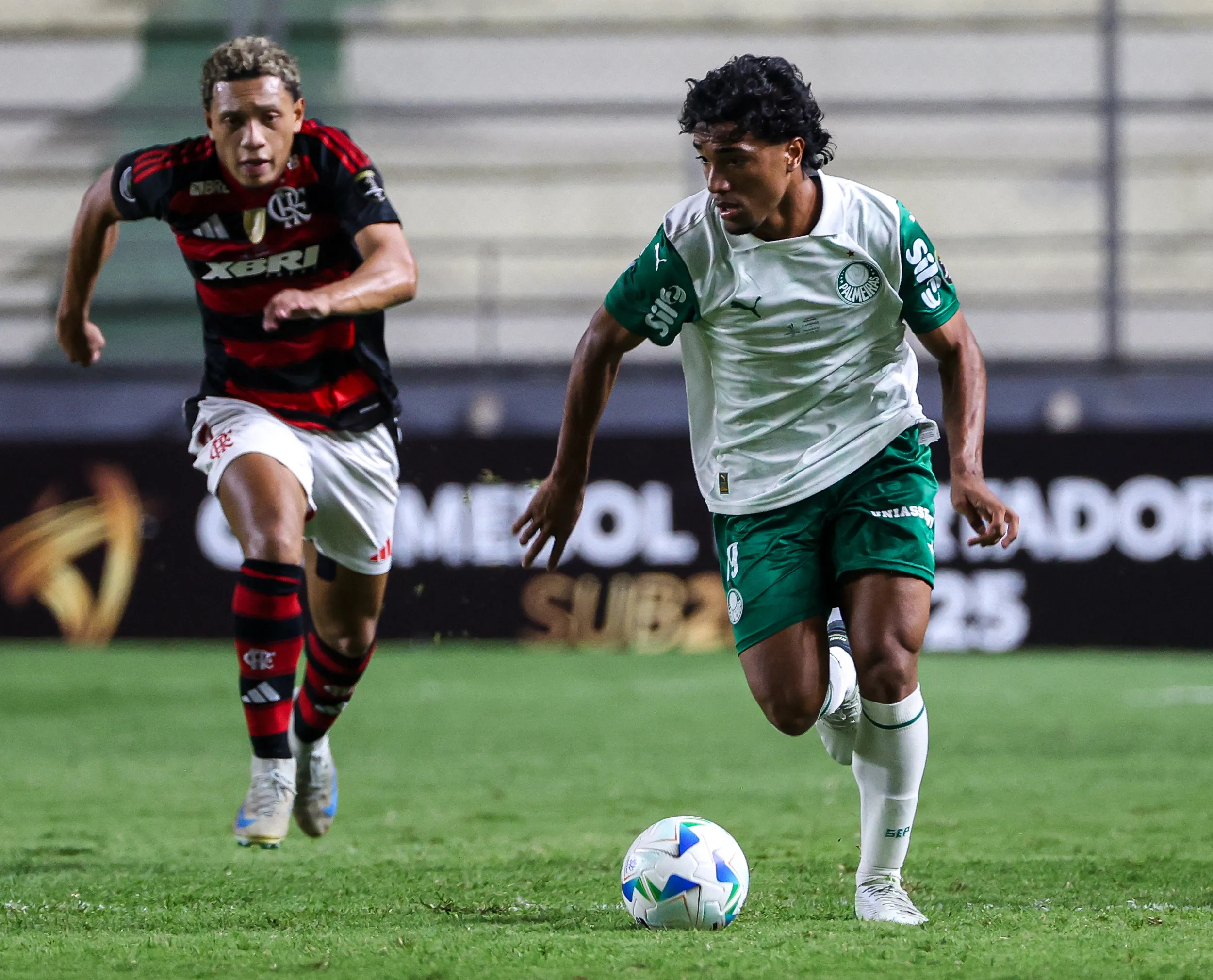 Partida entre Palmeiras e Flamengo, válida pela final da CONMEBOL Libertadores Sub-20, no Estádio Arsenio Erico, em Asunción-PAR. (Foto: Fabio Menotti/Palmeiras/by Canon)
