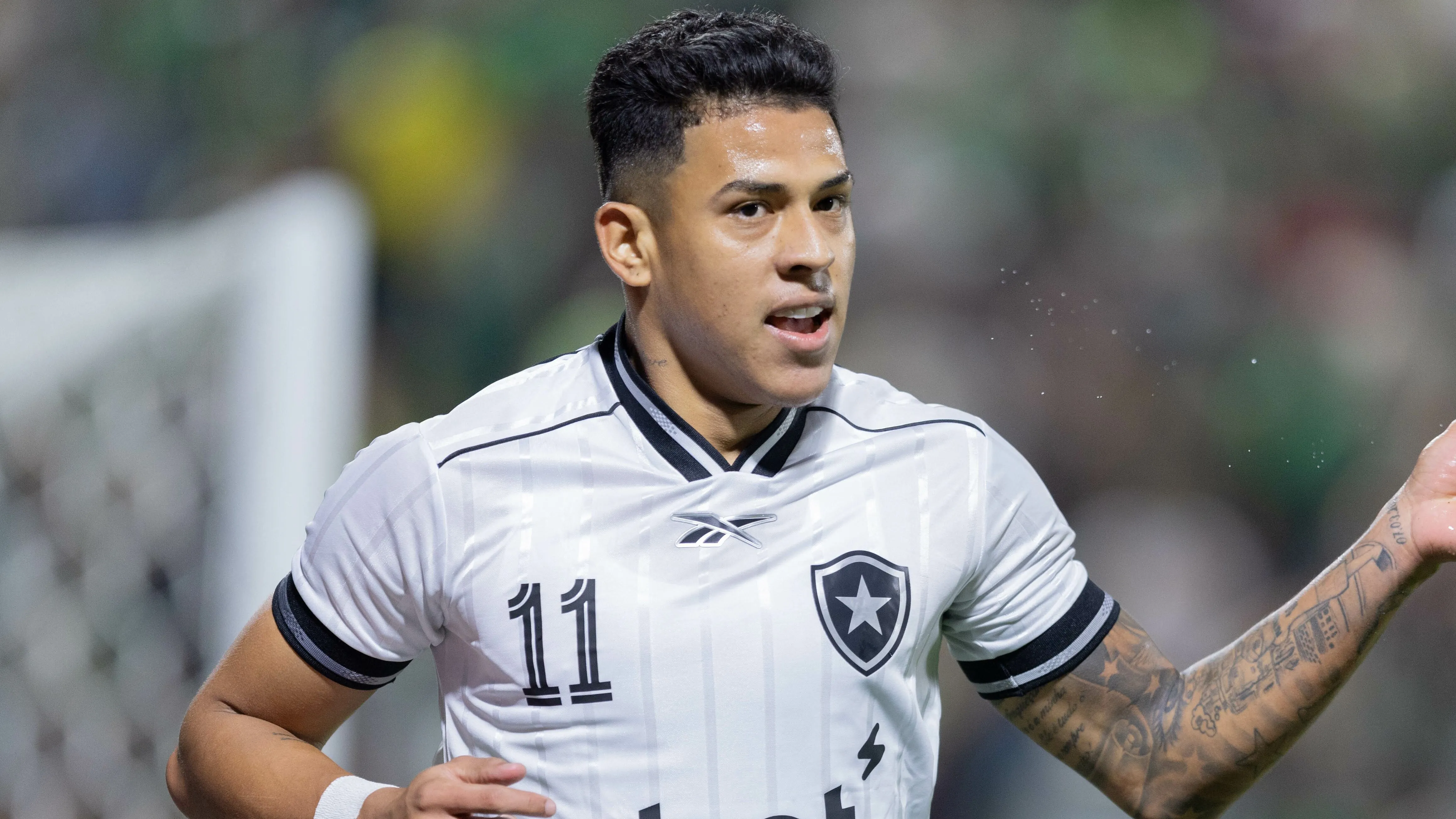 Matheus Martins, atacante do Botafogo. Foto: Liamara Polli/AGIF