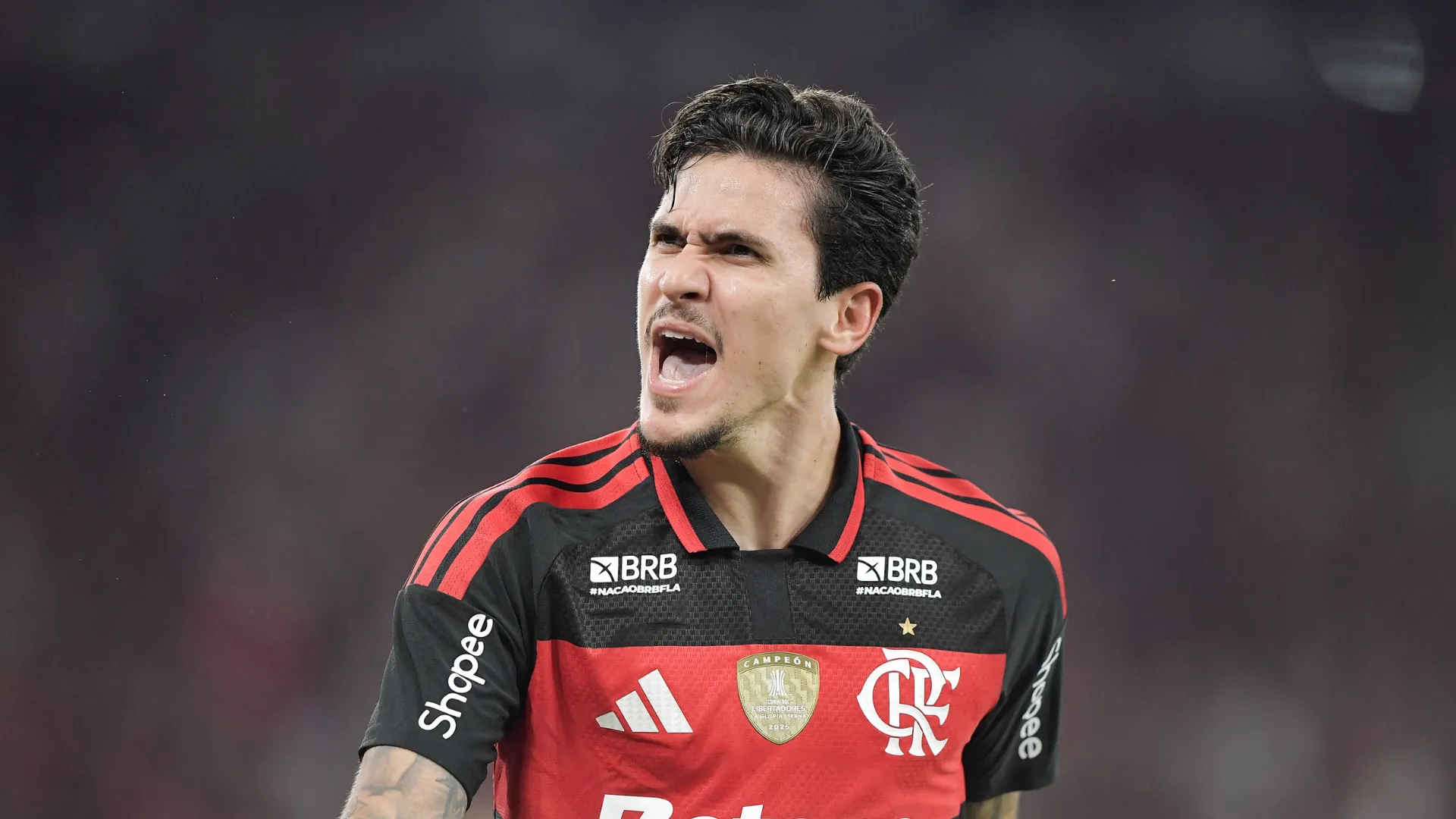 Pedro, centroavante do Flamengo