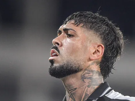 Palmeiras vê oportunidade de mercado por Alexander Barboza