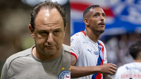 Rogerio Ceni técnico do Bahia durante partida contra o Atlético-MG/David Duarte jogador do Palmeiras comemora seu gol durante partida contra o Bahia (Imagem: Fernando Moreno/AGIF/Márcio José/AGIF)