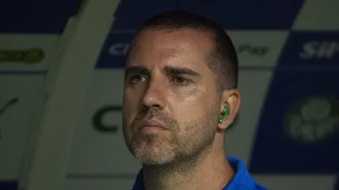 João Martins falou sobre Paulinho no Palmeiras.