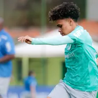 Palmeiras se prepara para enfrentar o Bahia na Arena Fonte Nova