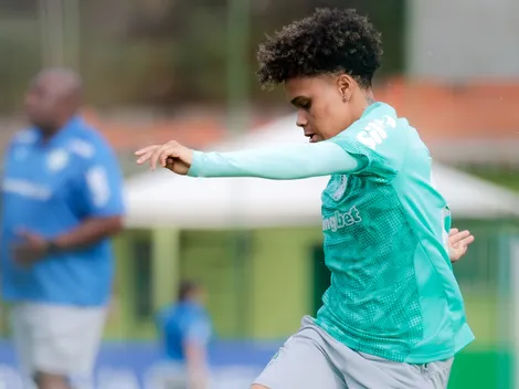 Palmeiras se prepara para enfrentar o Bahia na Arena Fonte Nova