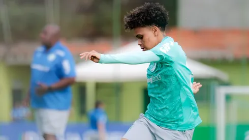 Palmeiras se prepara para enfrentar o Bahia na Arena Fonte Nova – Foto: Redes Sociais/Palmeiras