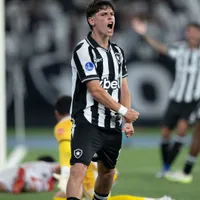 Botafogo paga dívida e pode registrar novos jogadores