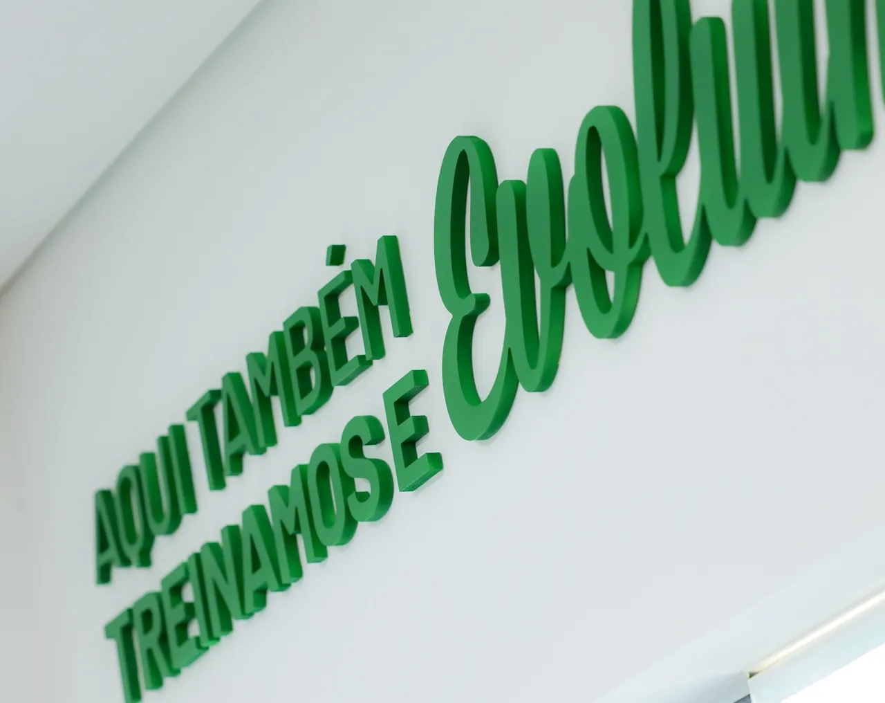 Uma das paredes do centro de excelências do Palmeiras – Foto: Redes Sociais/Palmeiras