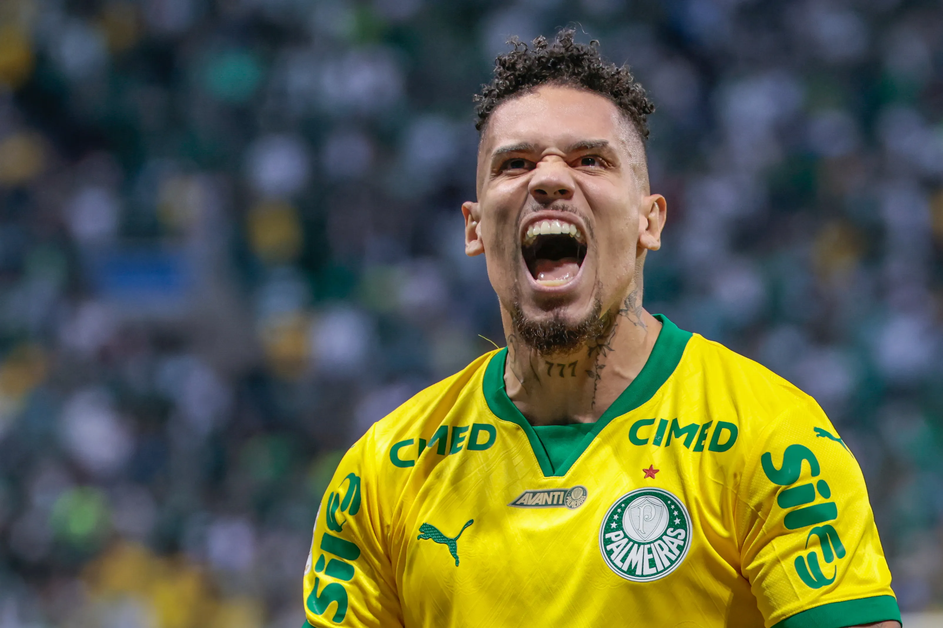 Paulinho jogador do Palmeiras comemora seu gol durante partida contra o Chapecoense no estadio Nubank Arena pelo campeonato Brasileiro A 2026. Foto: Marcello Zambrana/AGIF