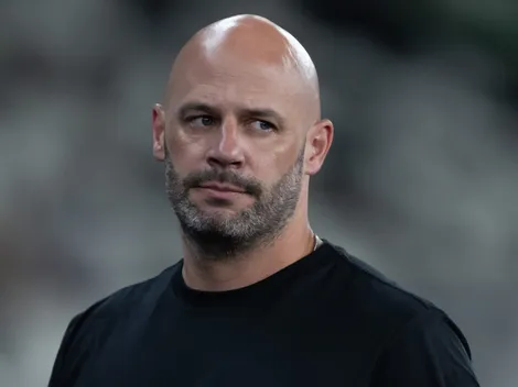 Botafogo define quatro posições como prioridade na janela