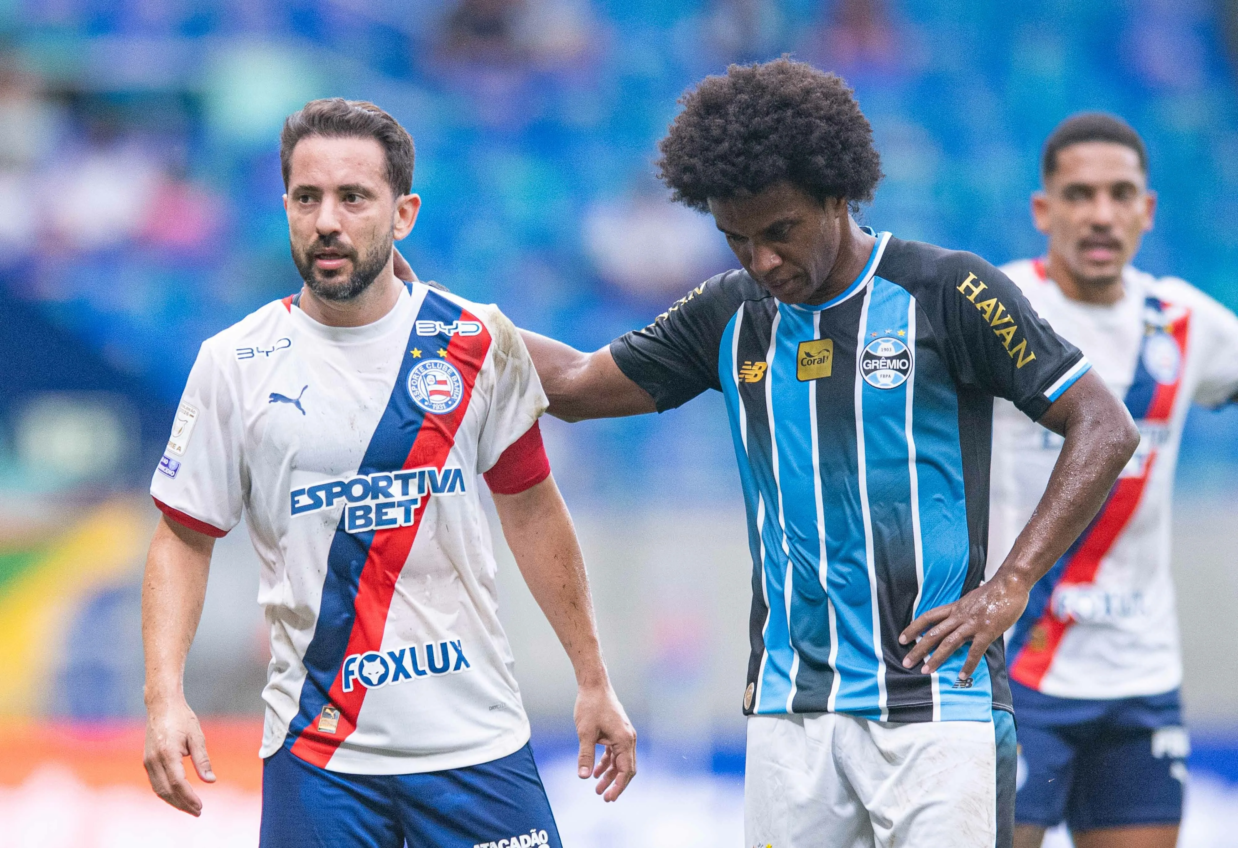 Everton Ribeiro jogador do Bahia disputa lance com Willian jogador do Gremio durante partida no estadio Arena Fonte Nova pelo campeonato Brasileiro A 2026. Foto: Jhony Pinho/AGIF