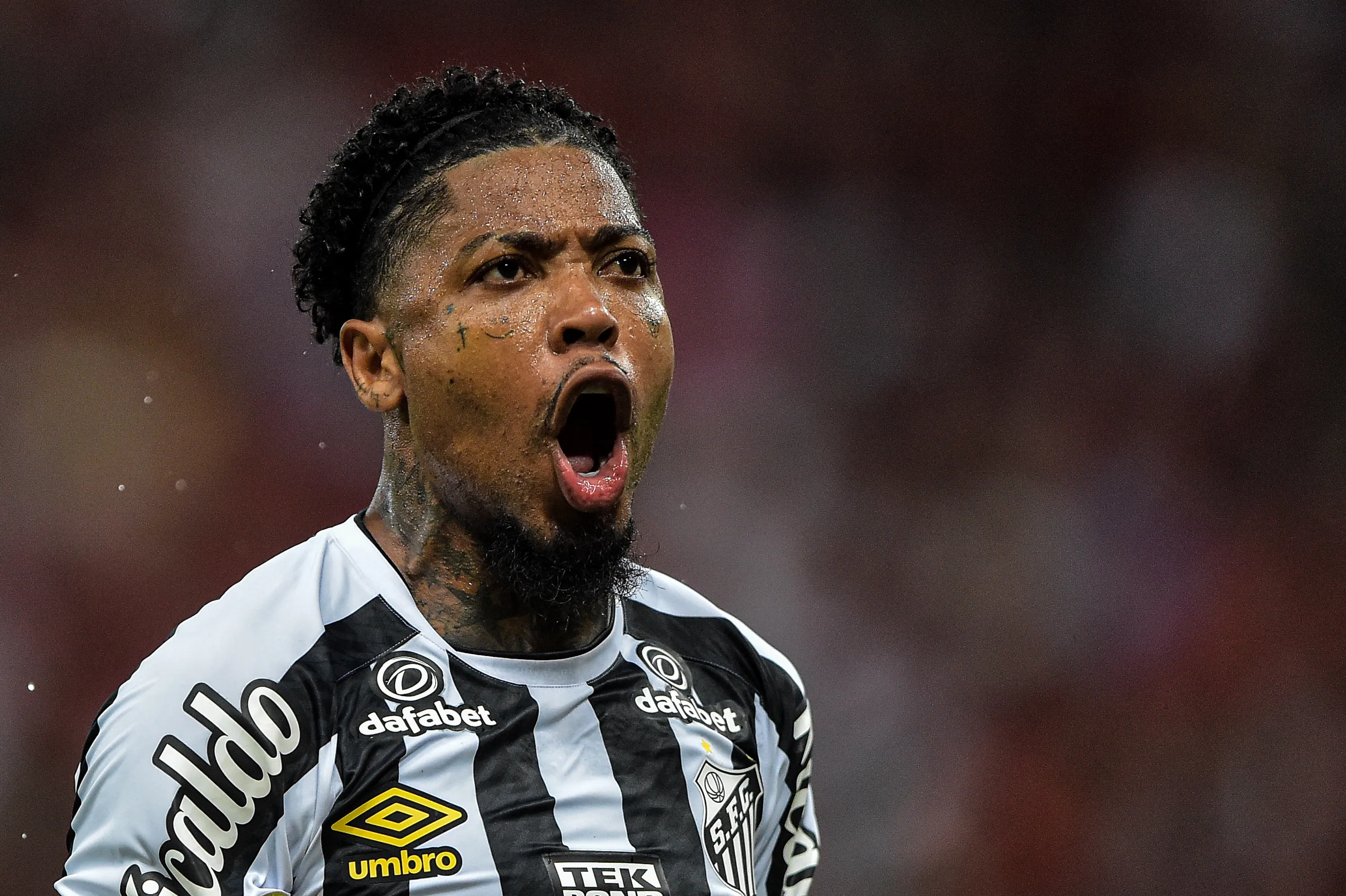 RJ – Rio de Janeiro – 06/12/2021 – BRASILEIRO A 2021, FLAMENGO X SANTOS – Marinho jogador do Santos comemora gol de Marcos Leonardo durante partida contra o Flamengo no estadio Maracana pelo campeonato Brasileiro A 2021. Foto: Thiago Ribeiro/AGIF