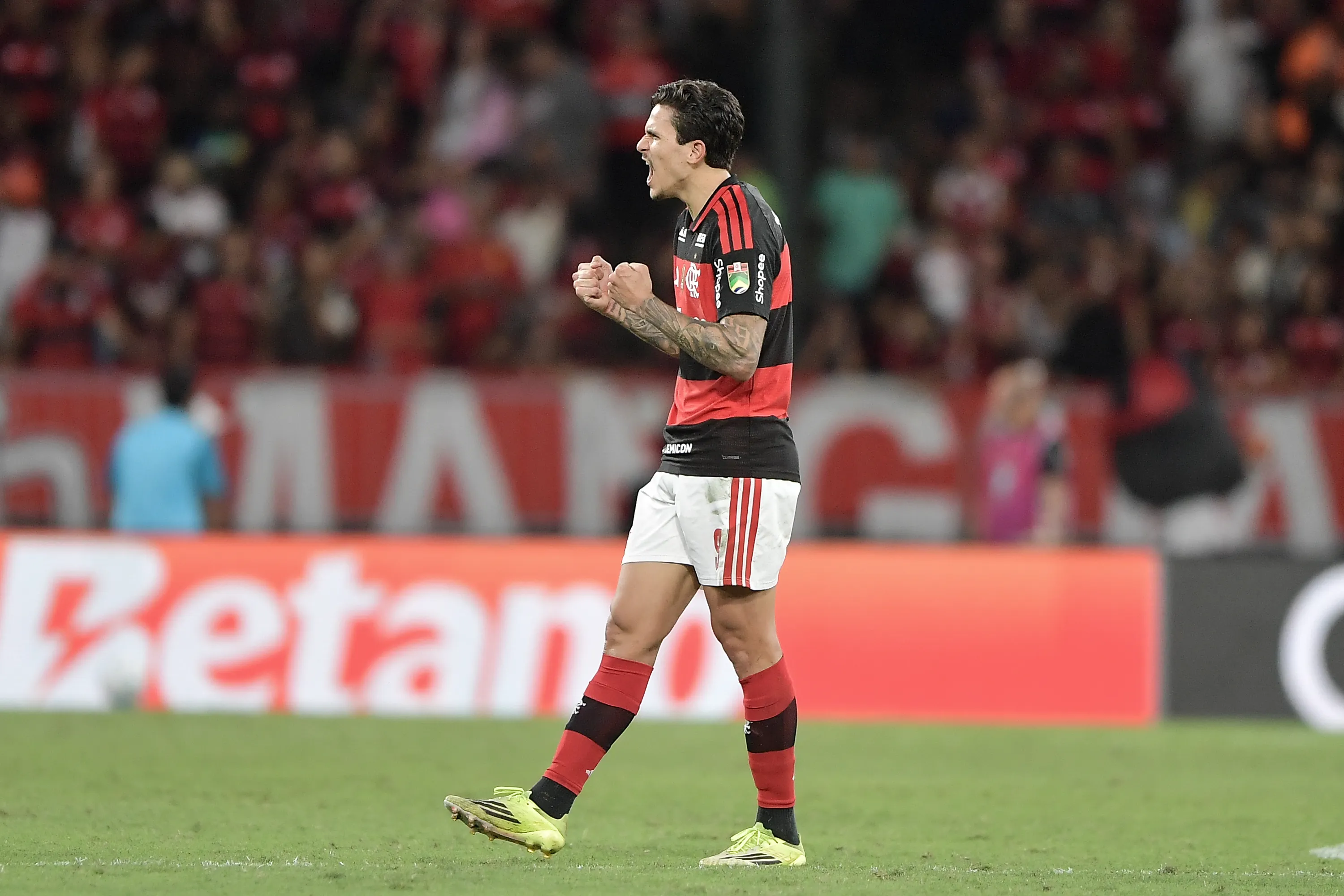 Pedro comemorando gol do Flamengo – Foto: Thiago Ribeiro/AGIF