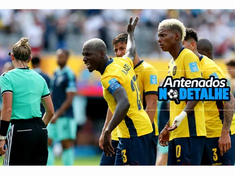 Antenados no Detalhe