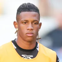 Palmeiras quer acelerar conversas com o Botafogo por Danilo